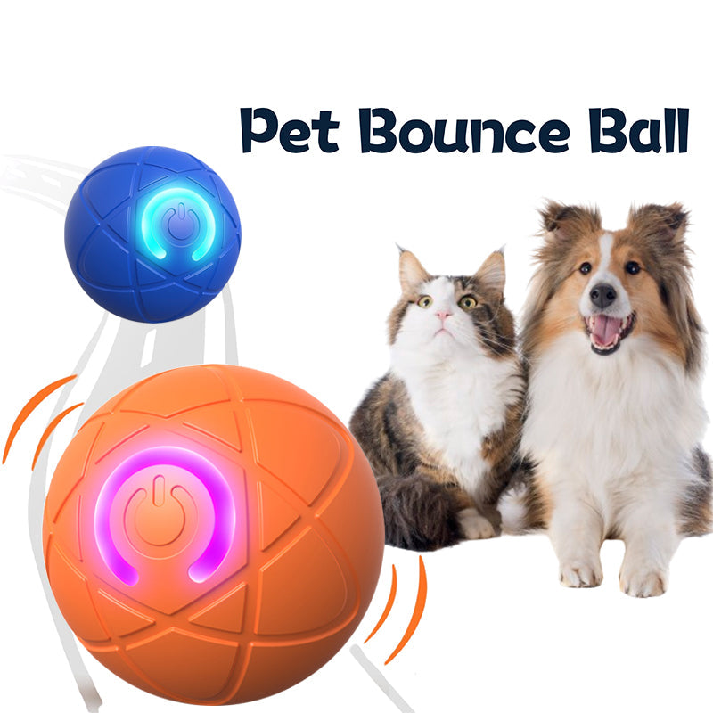 🔥Final 3 Hours: 80% OFF - Pet Bounce Ball for Dogs🐶 & Cats🐱