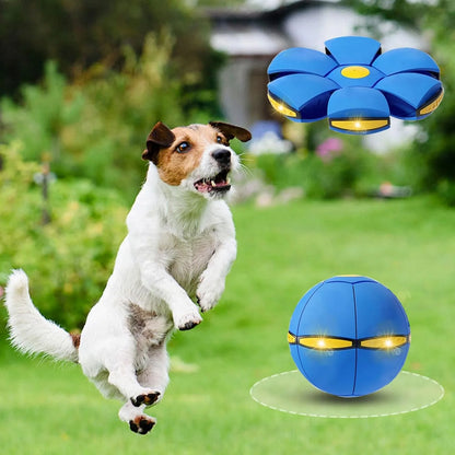 🔥Time-Limited Offer - 🛸Elastic Flying Saucer Ball🏀