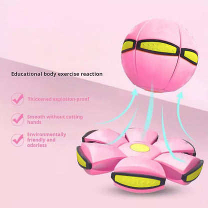 🔥Time-Limited Offer - 🛸Elastic Flying Saucer Ball🏀