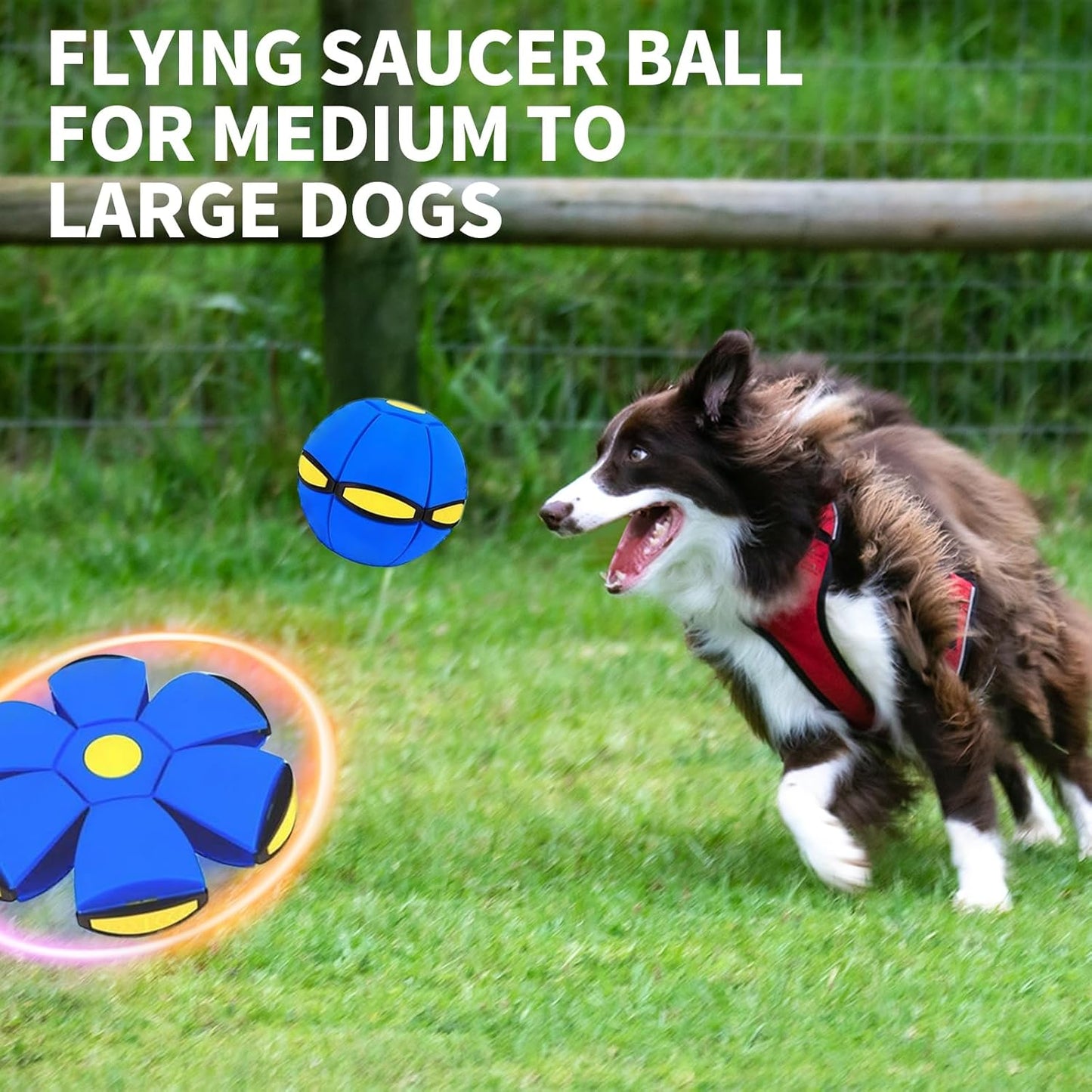 🔥Time-Limited Offer - 🛸Elastic Flying Saucer Ball🏀