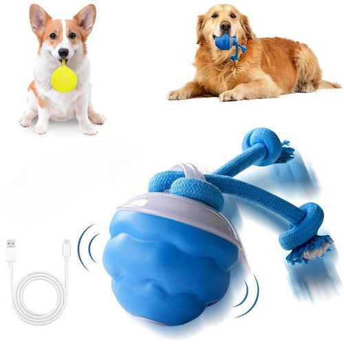 🔥Time-Limited Offer - Pet Smart Rolling Ball🐶&🐱