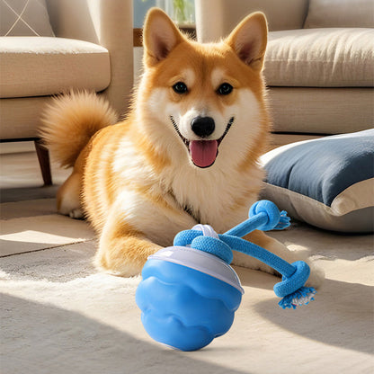 🔥Time-Limited Offer -Pet Smart Rolling Ball🐶&🐱