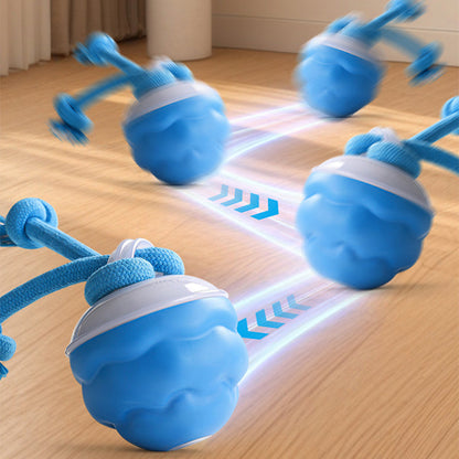 🔥Time-Limited Offer -Pet Smart Rolling Ball🐶&🐱