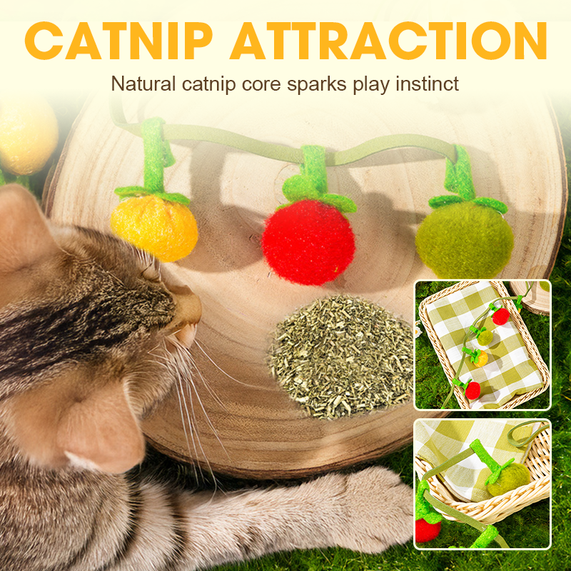 🔥Time-Limited Offer -🐾Interactive Fruit-Shaped Catnip Toy String