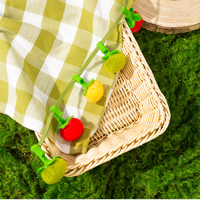 🔥Time-Limited Offer -🐾Interactive Fruit-Shaped Catnip Toy String